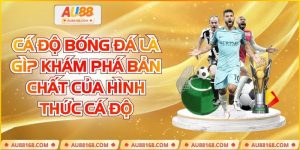 Cá độ bóng đá là gì