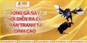 Trường gà Savan